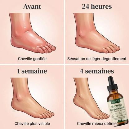 LYMPHORIA® — Drainage Lymphatique Naturel