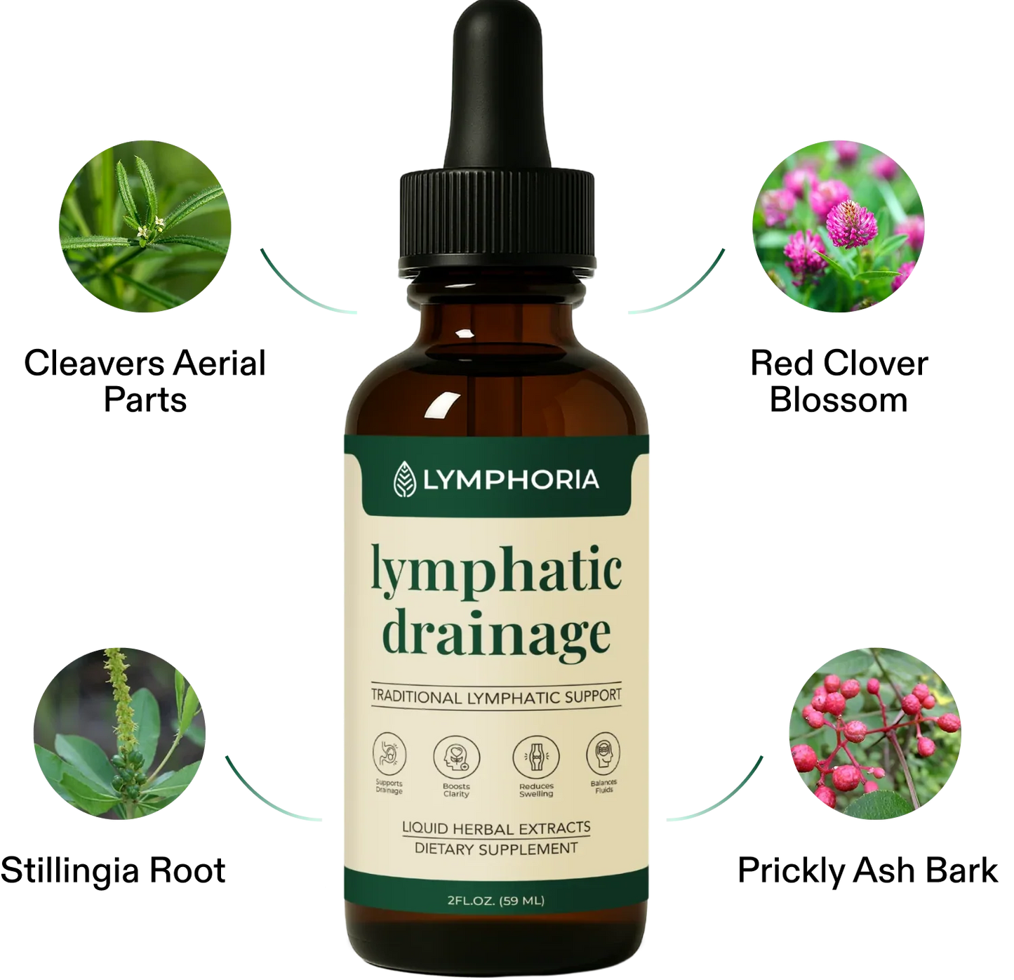 LYMPHORIA® — Drainage Lymphatique Naturel