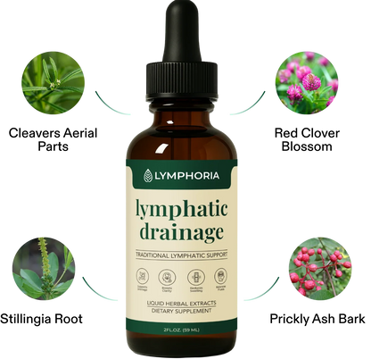 LYMPHORIA® — Drainage Lymphatique Naturel